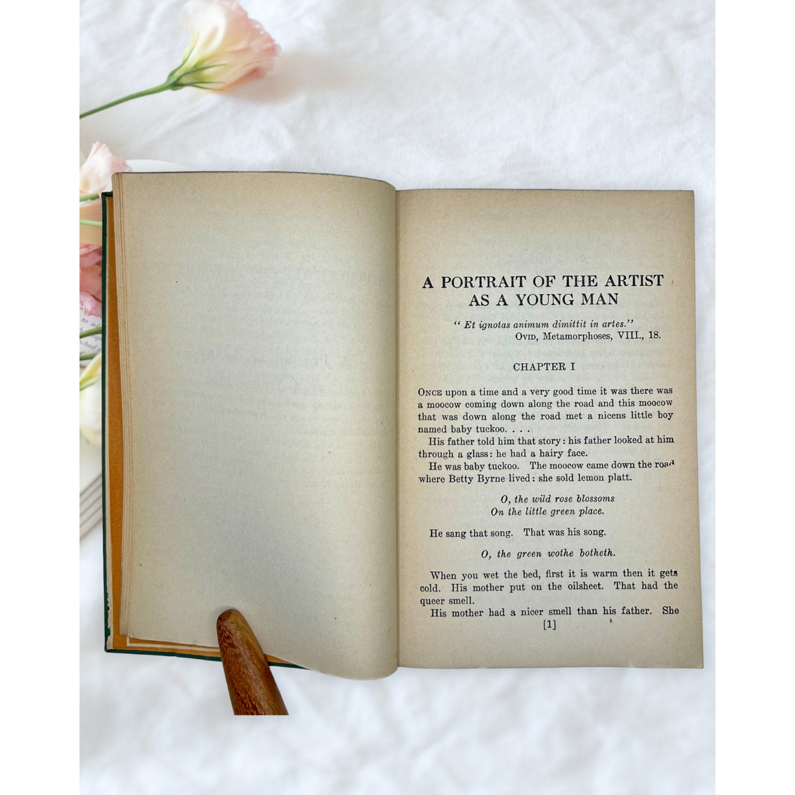 Vintage A Portrait of the Artist as a Young Man James Joyce Modern Library Book