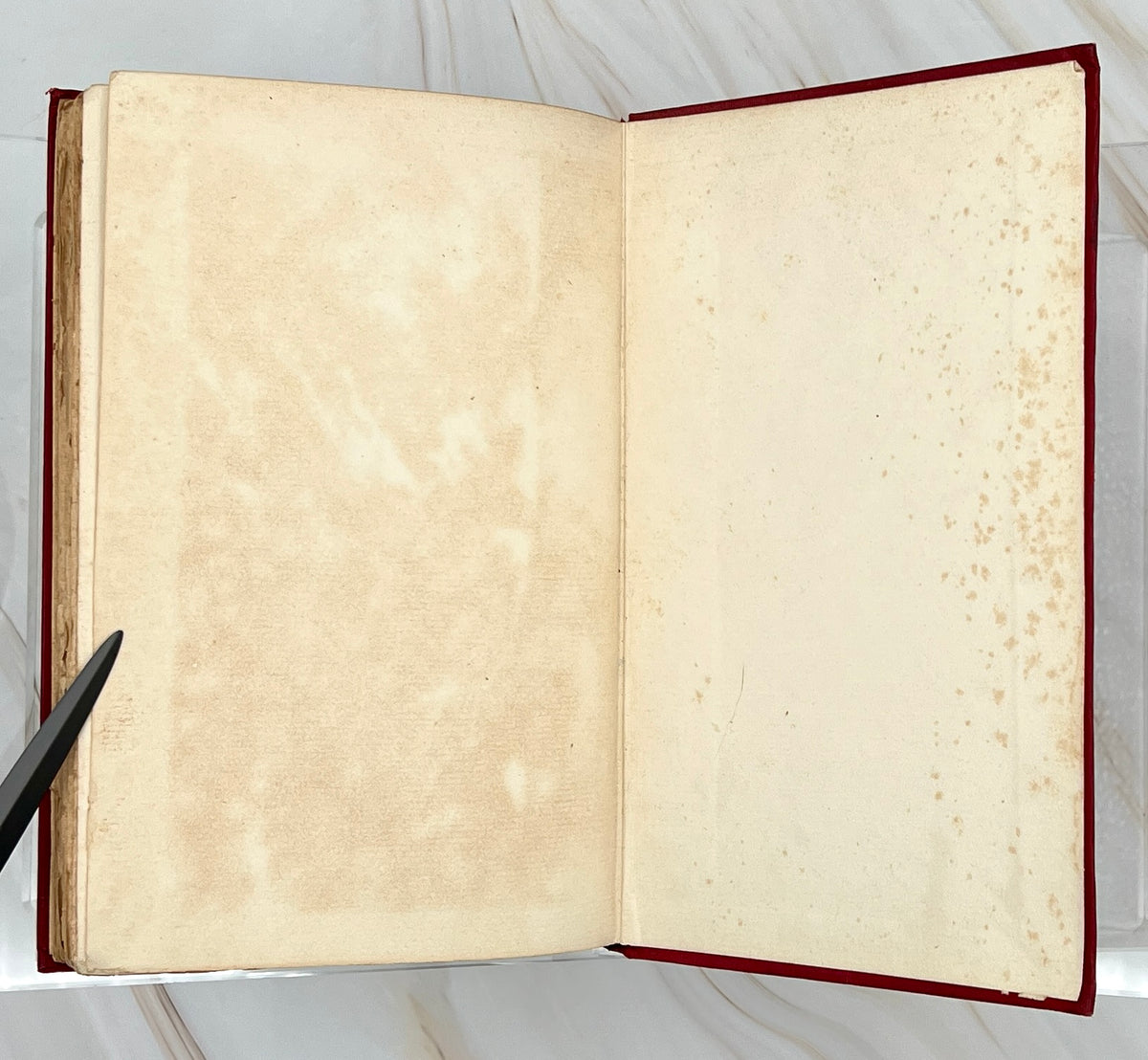 Antique red cloth hardcover book titled The Ape, the Idiot & Other People by W. C. Morrow, featuring an ornate gilt-stamped mythical dragon and gold lettering. - Photo 9