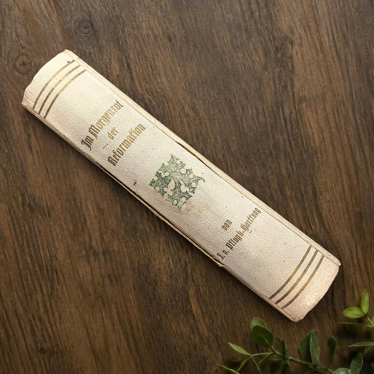 An open antiquarian German book lying flat on a dark wood background showcasing blank cream-colored endpapers with faint age foxing. - Photo 2