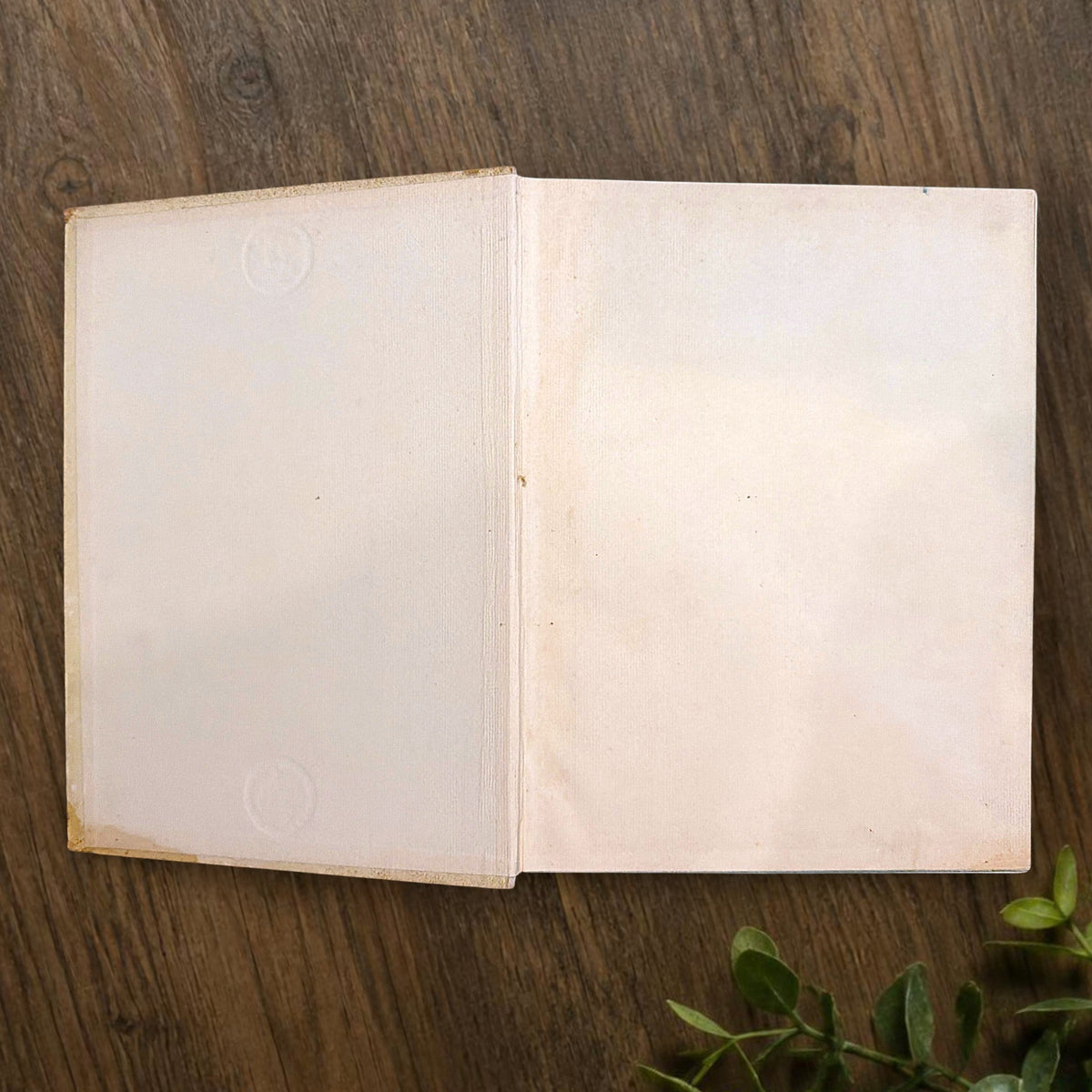 An open antiquarian German book lying flat on a dark wood background showcasing blank cream-colored endpapers with faint age foxing. - Photo 3