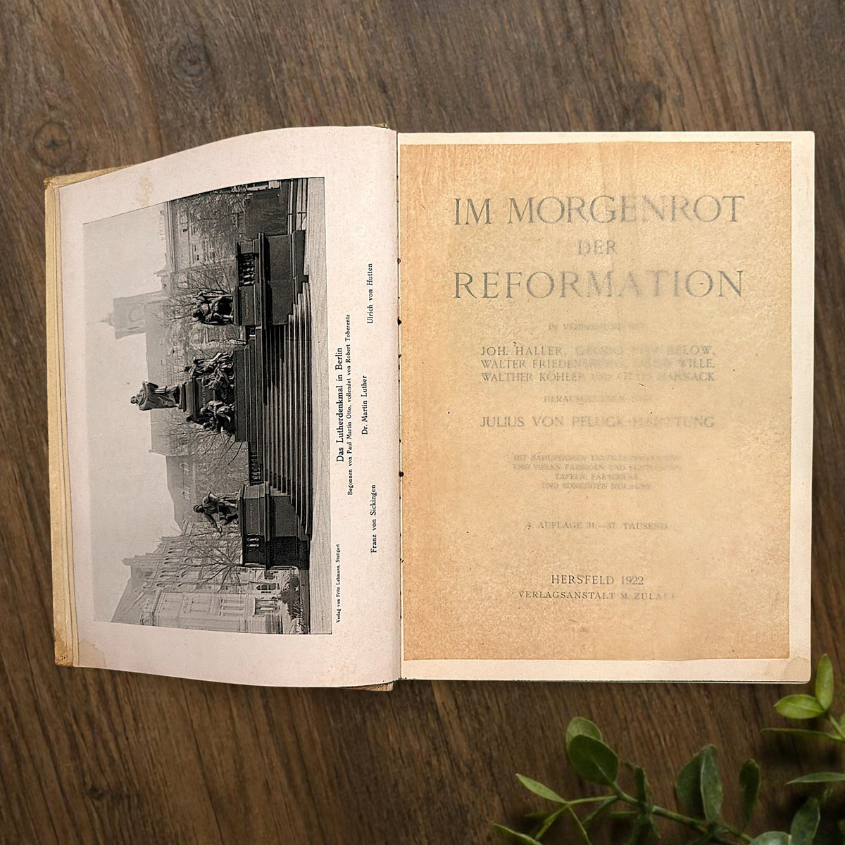 An open antiquarian German book lying flat on a dark wood background showcasing blank cream-colored endpapers with faint age foxing. - Photo 4
