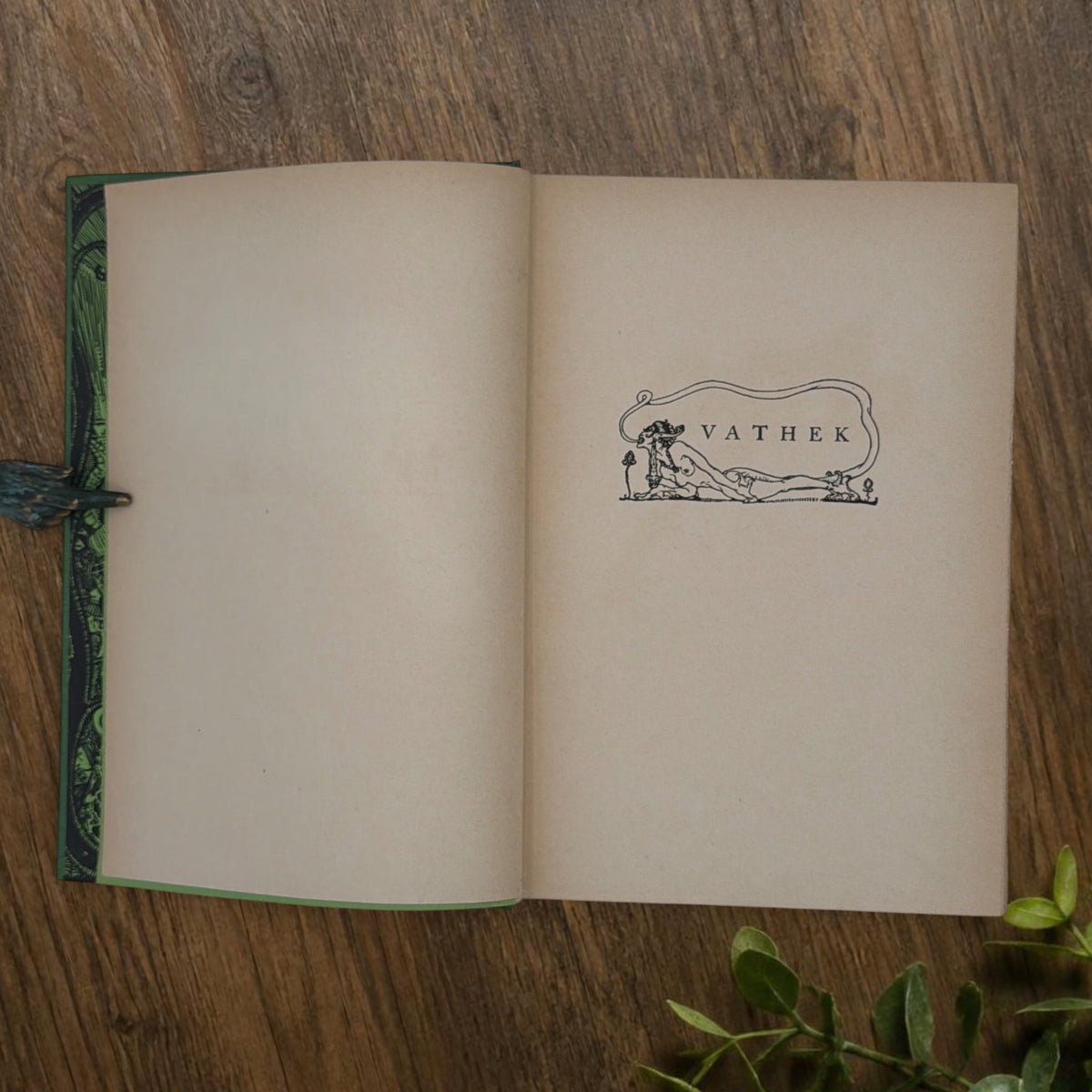 Front cover of the 1928 hardcover edition of Vathek bound in textured green book cloth, resting upright on a dark natural wood surface. - Photo 6