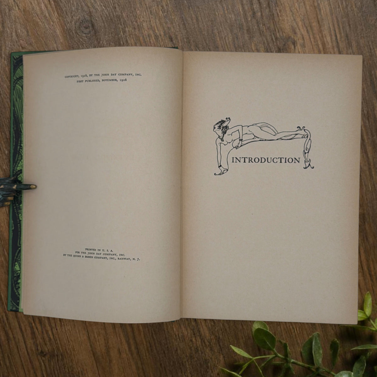 Front cover of the 1928 hardcover edition of Vathek bound in textured green book cloth, resting upright on a dark natural wood surface. - Photo 8