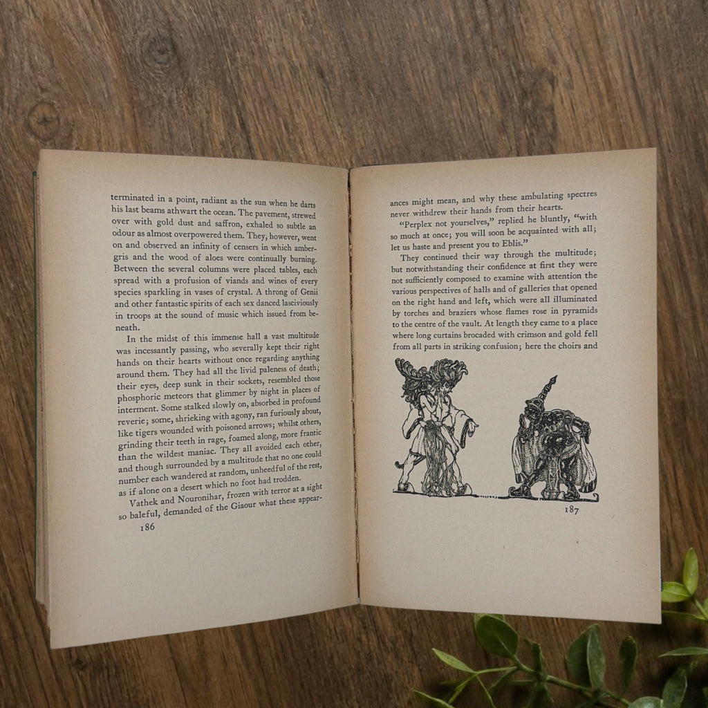 Front cover of the 1928 hardcover edition of Vathek bound in textured green book cloth, resting upright on a dark natural wood surface. - Photo 10