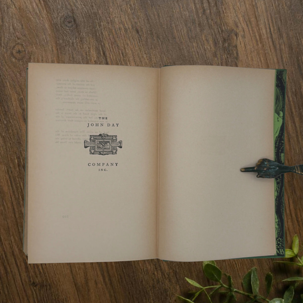 Front cover of the 1928 hardcover edition of Vathek bound in textured green book cloth, resting upright on a dark natural wood surface. - Photo 11