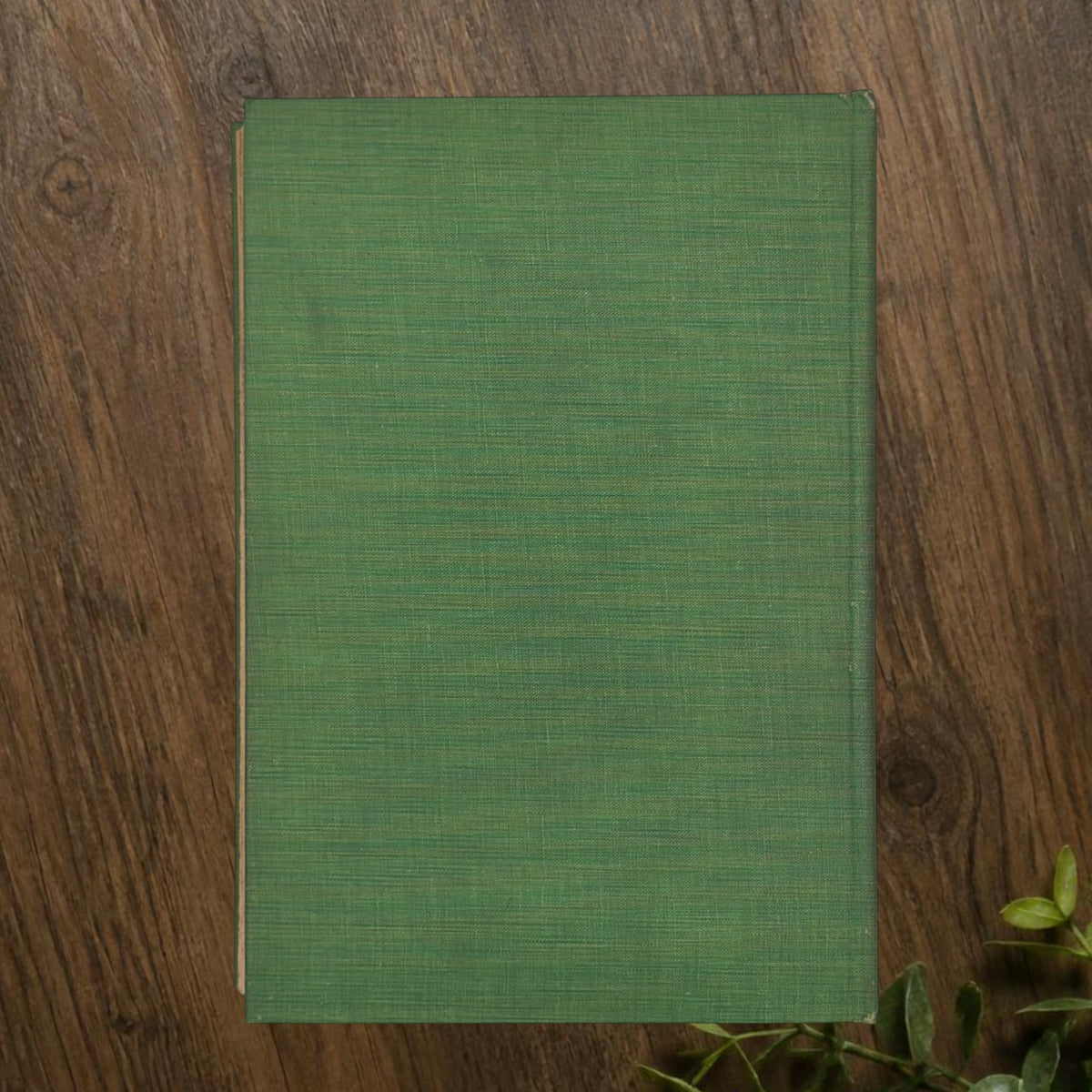 Front cover of the 1928 hardcover edition of Vathek bound in textured green book cloth, resting upright on a dark natural wood surface. - Photo 13
