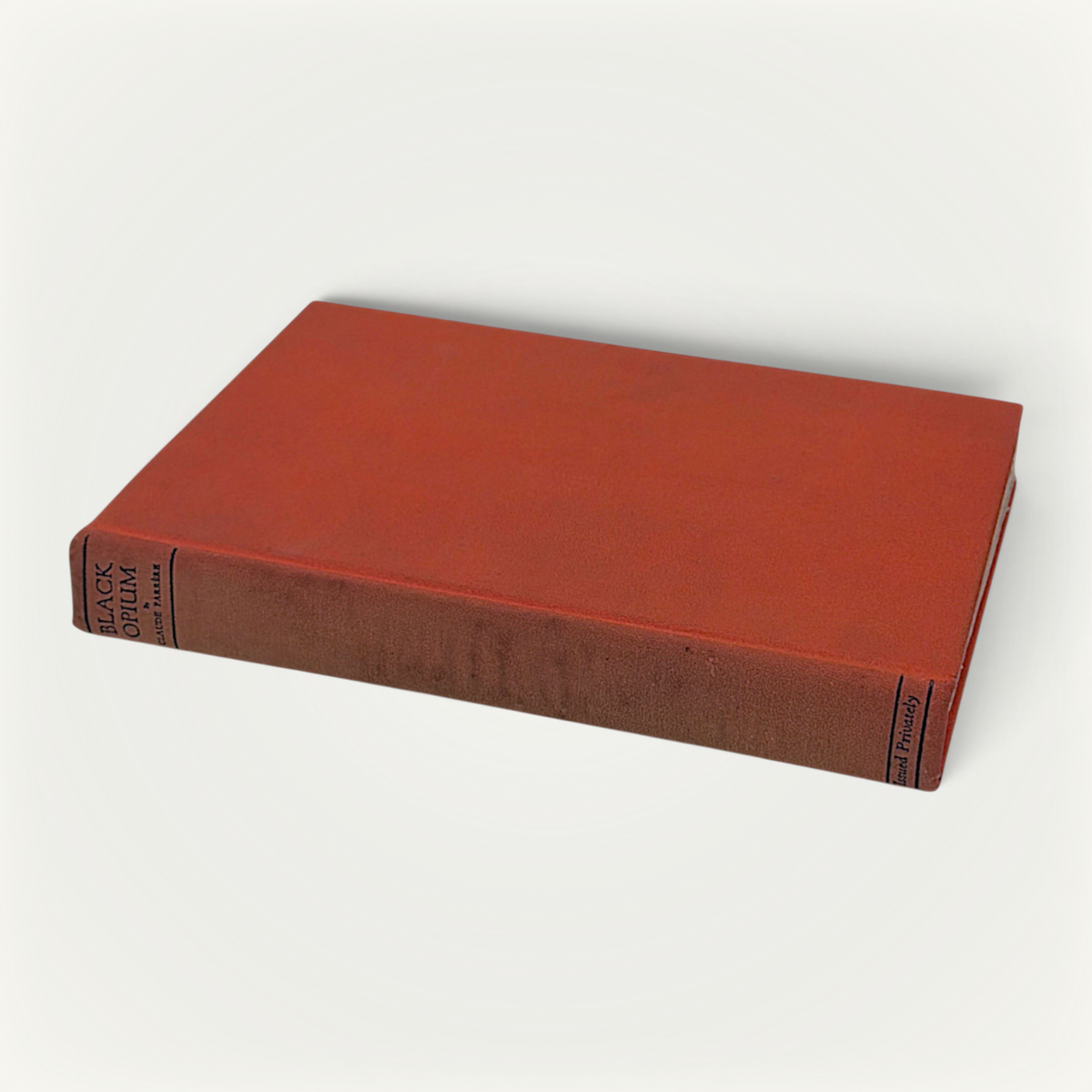 Burnt orange cloth hardcover book standing upright against a neutral background, featuring a minimalist textured cloth front board with black stamped linear accents along the spine edge. - Photo 1
