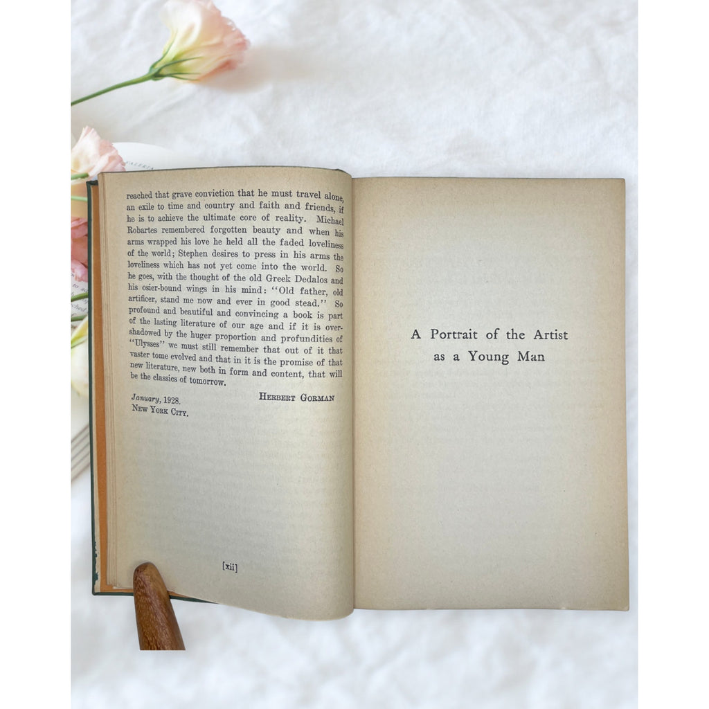 Vintage A Portrait of the Artist as a Young Man James Joyce Modern Library Book