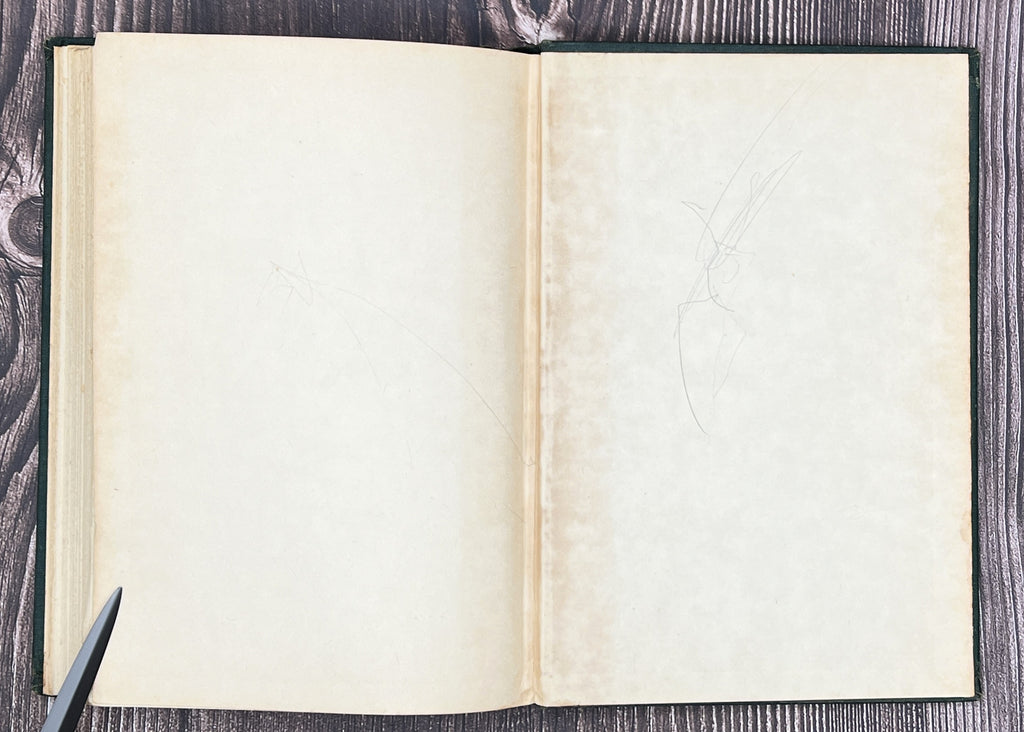 Antique Military Books: "Armament and History" & "Complete Instructive Manual for the Bugle, Trumpet, and Drum"