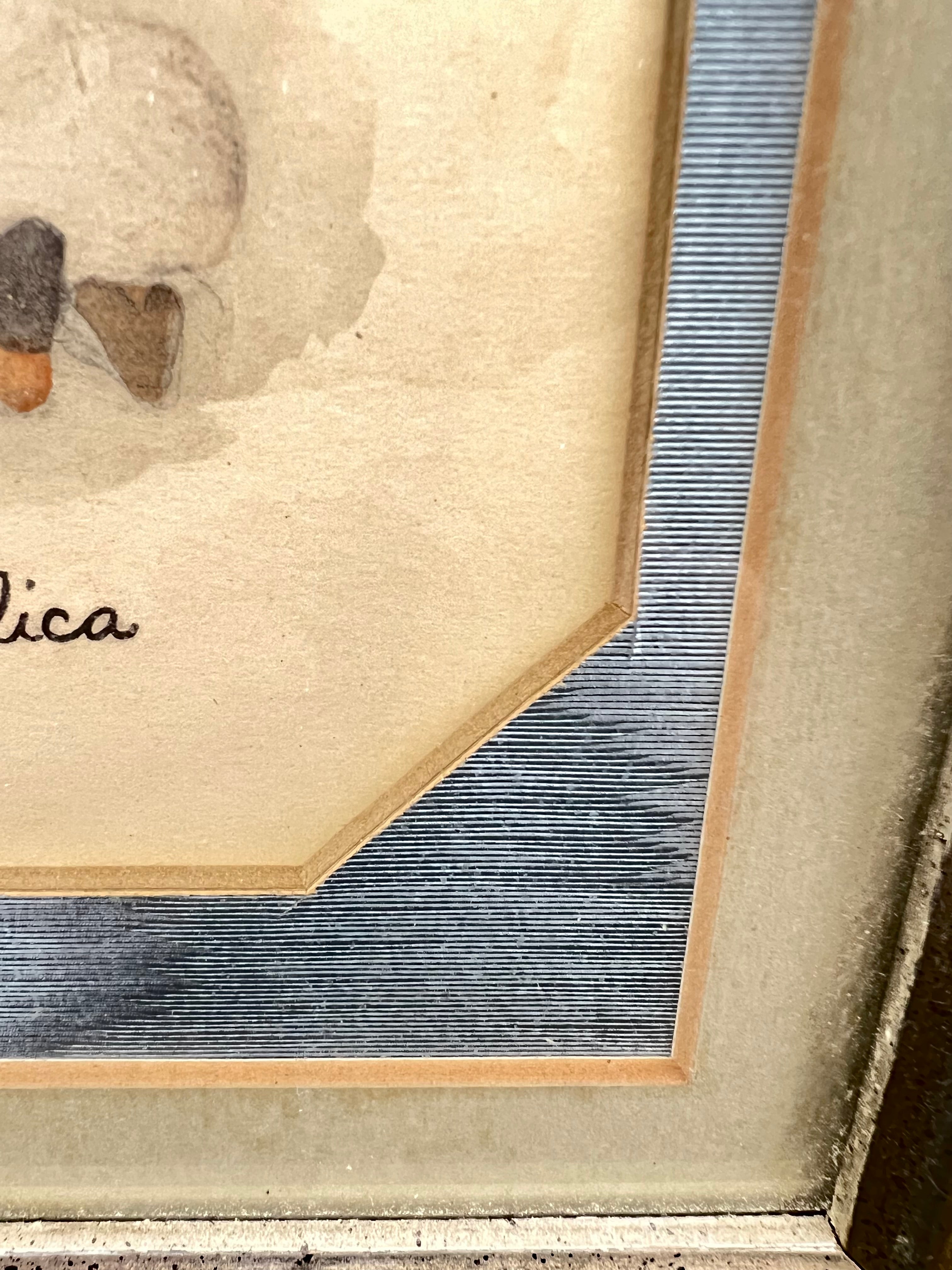 Framed vintage Angelica Little American print corner, 3.5x5.5 in, beige mat, blue border.
