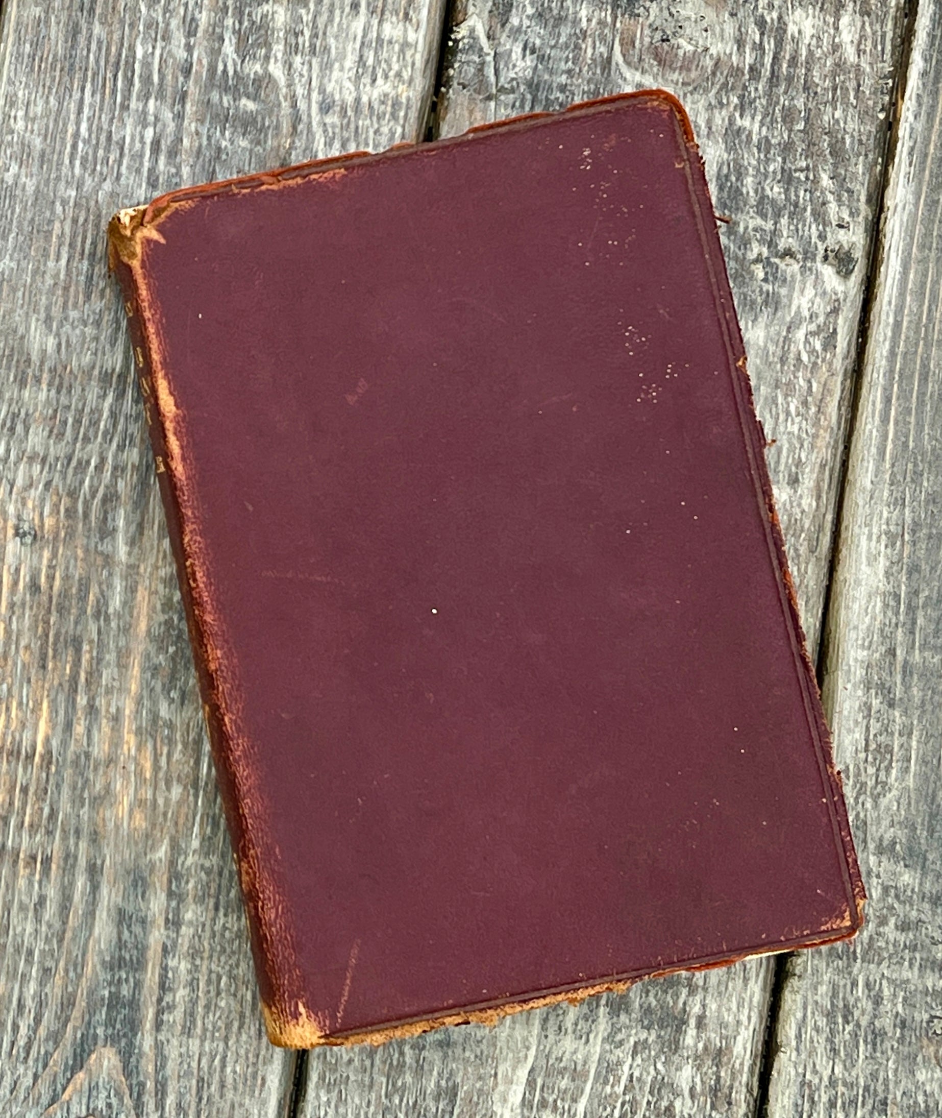 Antique Edgar Allan Poe Book Collection - Weird Tales & More 1895-1905