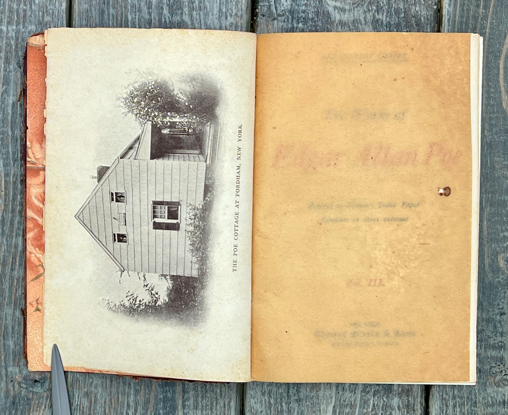 Antique Edgar Allan Poe Book Collection - Weird Tales & More 1895-1905