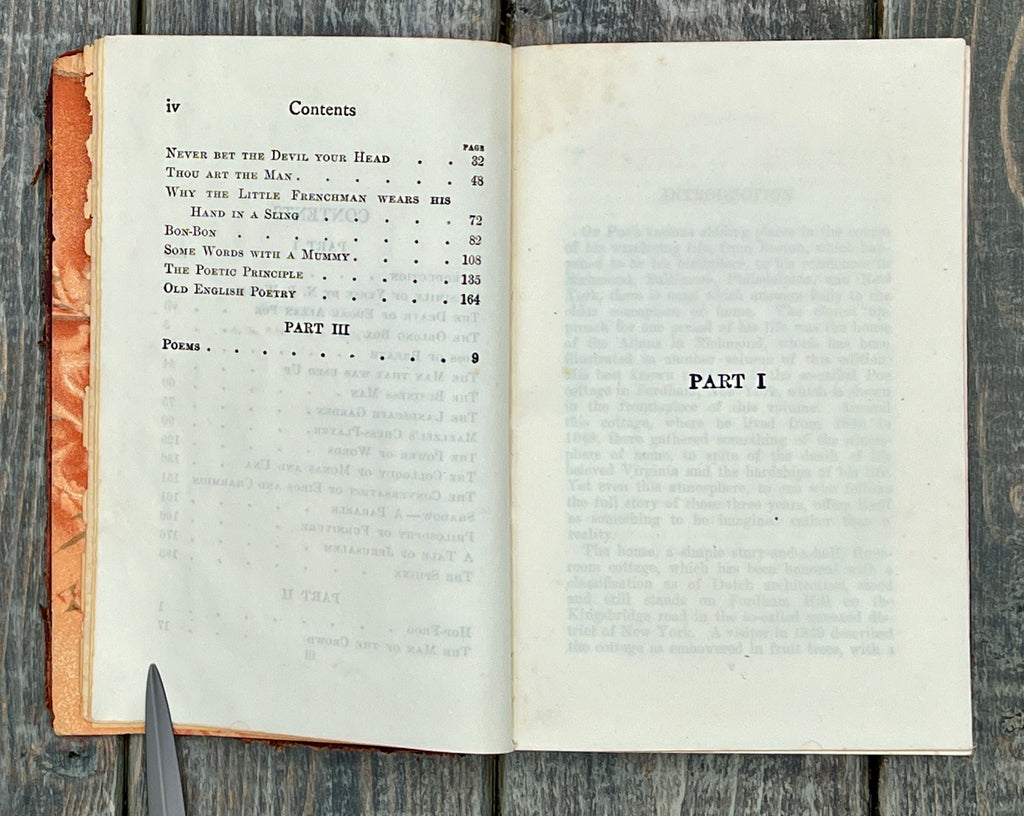 Antique Edgar Allan Poe Book Collection - Weird Tales & More 1895-1905