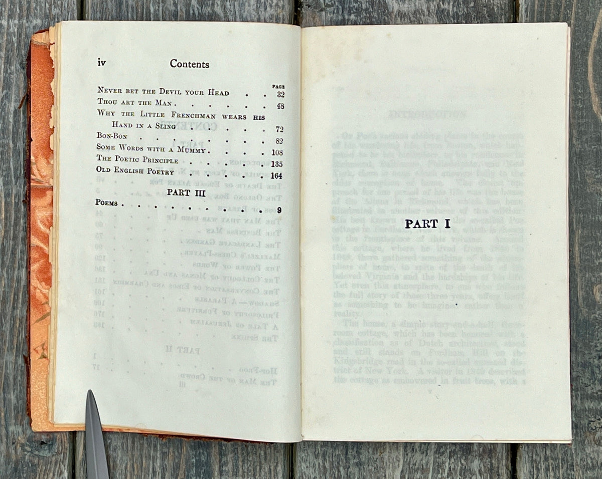 Antique Edgar Allan Poe Book Collection - Weird Tales & More 1895-1905