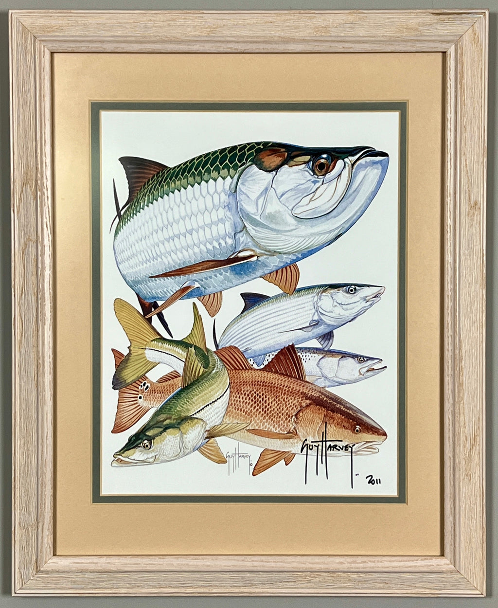 Guy Harvey Signed Art Print "Inshore Collage" 2011, Framed 13" x 16"