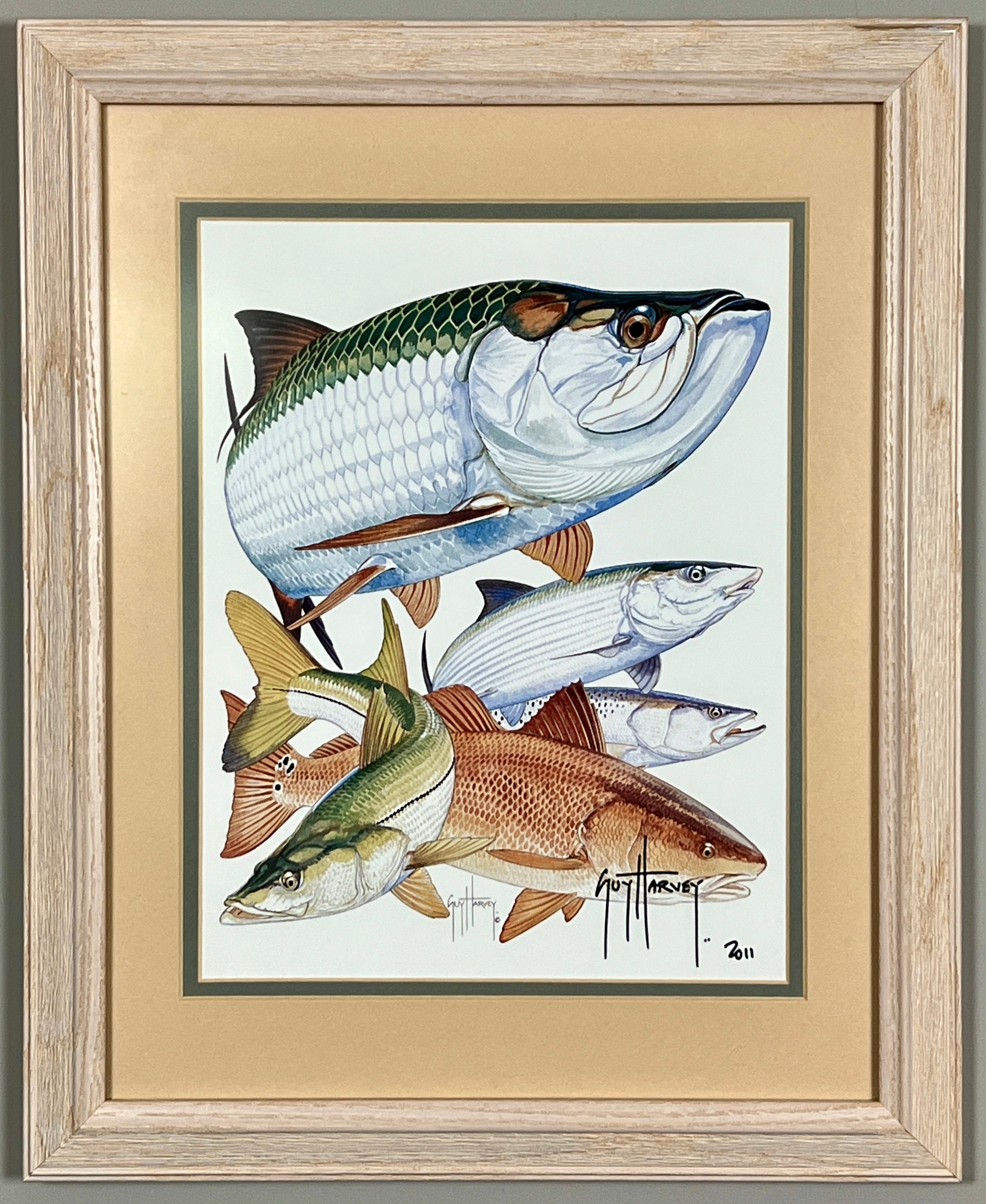 Guy Harvey Signed Art Print "Inshore Collage" 2011, Framed 13" x 16"