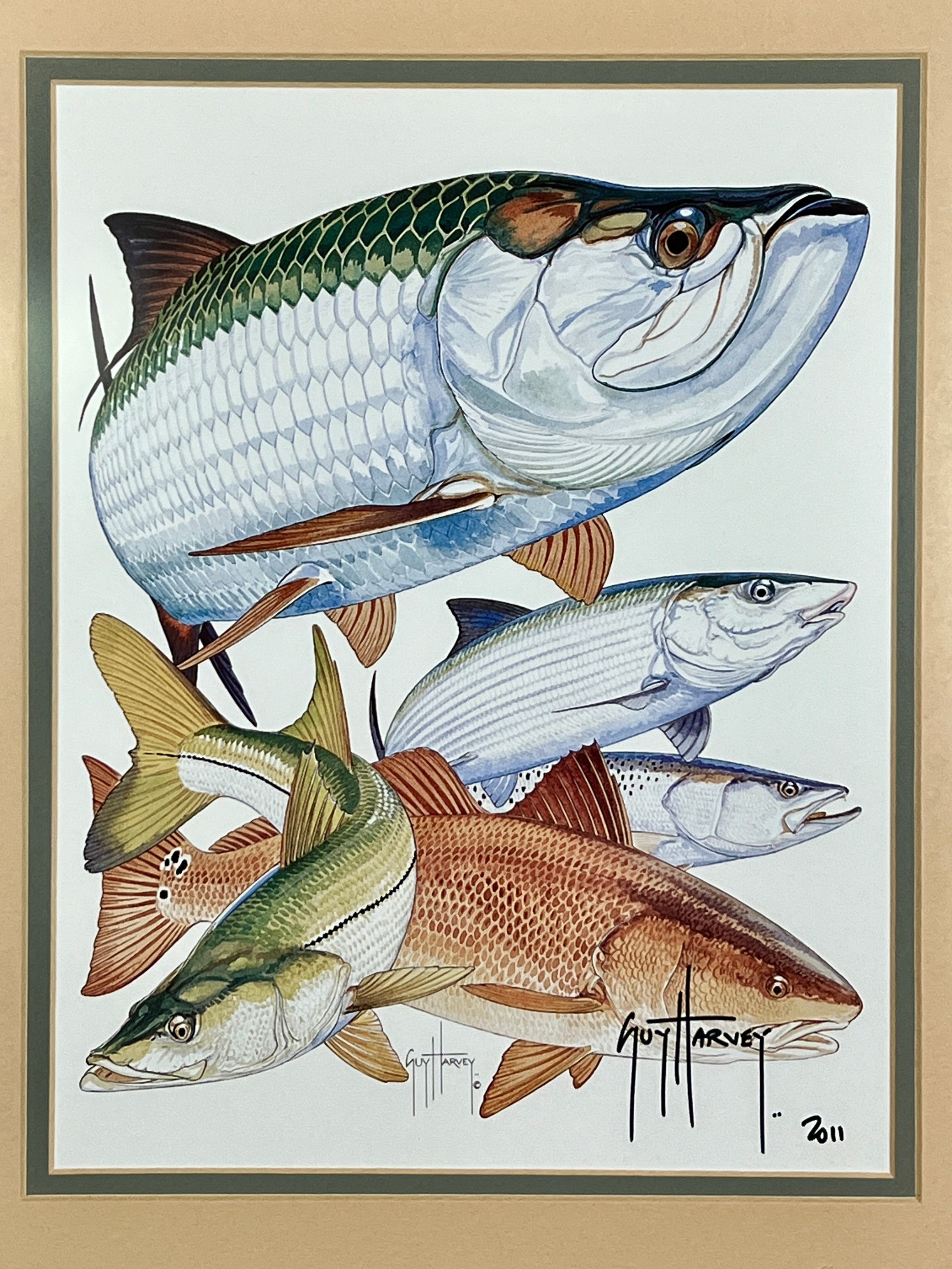 Guy Harvey Signed Art Print "Inshore Collage" 2011, Framed 13" x 16"