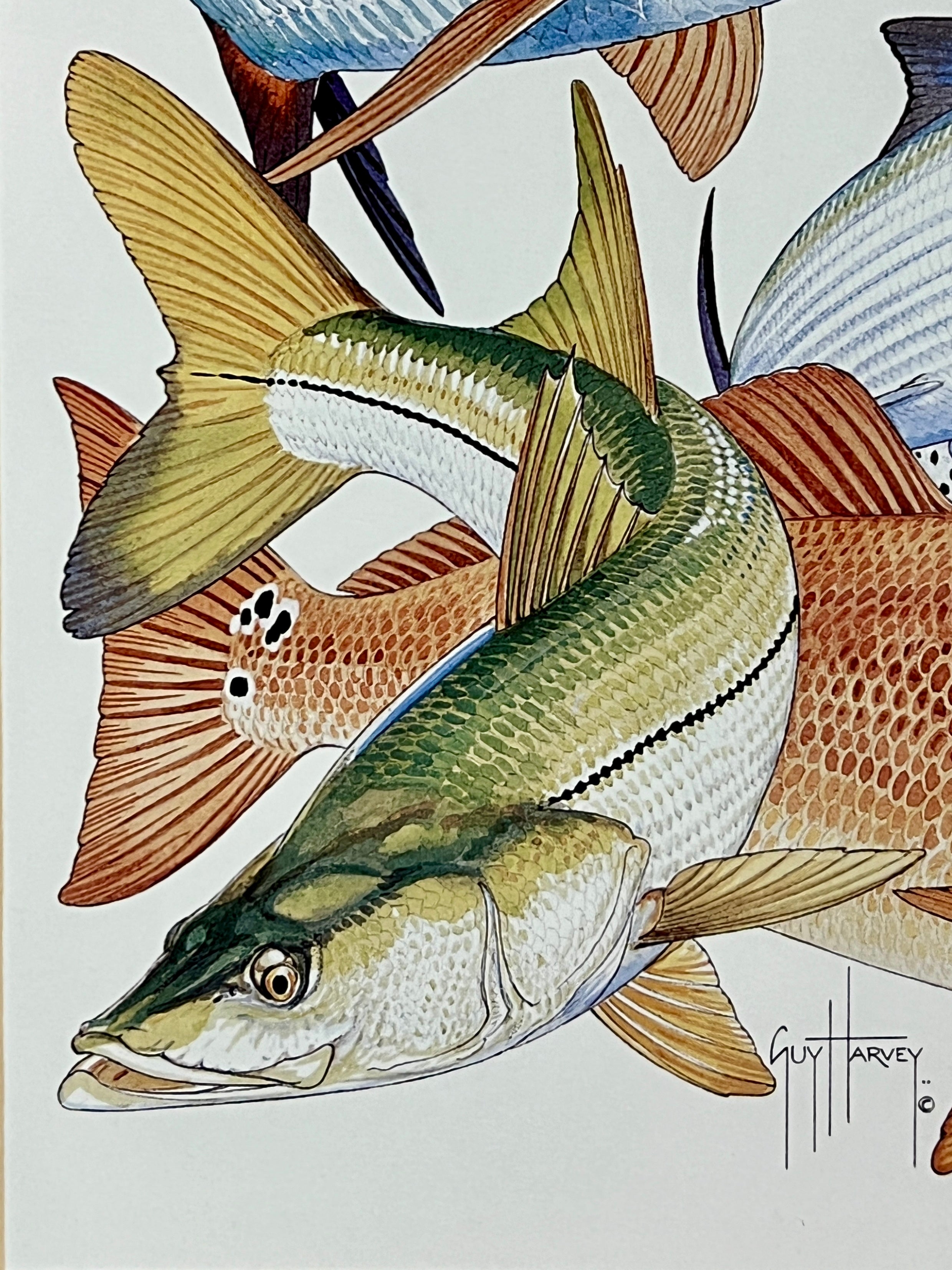 Guy Harvey Signed Art Print "Inshore Collage" 2011, Framed 13" x 16"