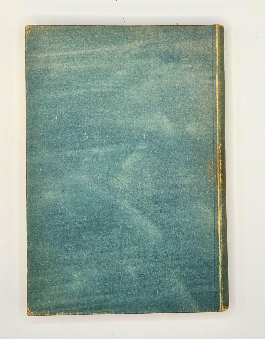 Mario und der Zauberer by Thomas Mann - 1930 First Edition w/ Slipcase