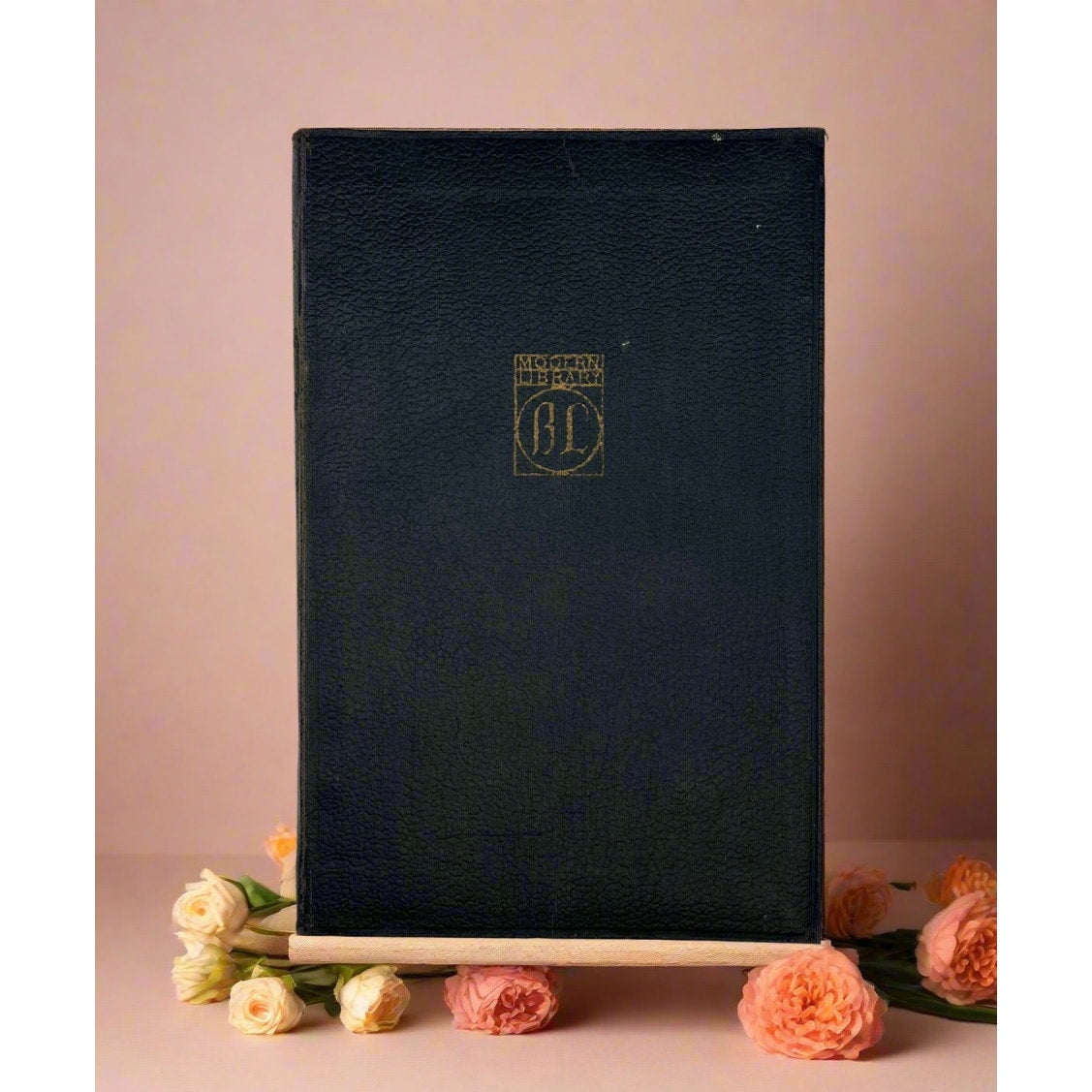 A vintage black leatherette bound book titled Baudelaire His Prose and Poetry from the Modern Library against a soft background. - Photo 1