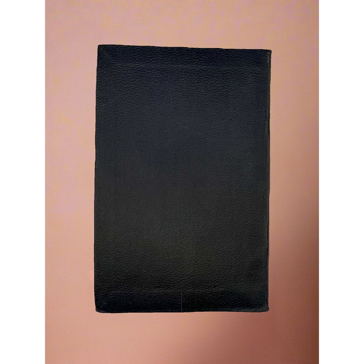 A vintage black leatherette bound book titled Baudelaire His Prose and Poetry from the Modern Library against a soft background. - Photo 9