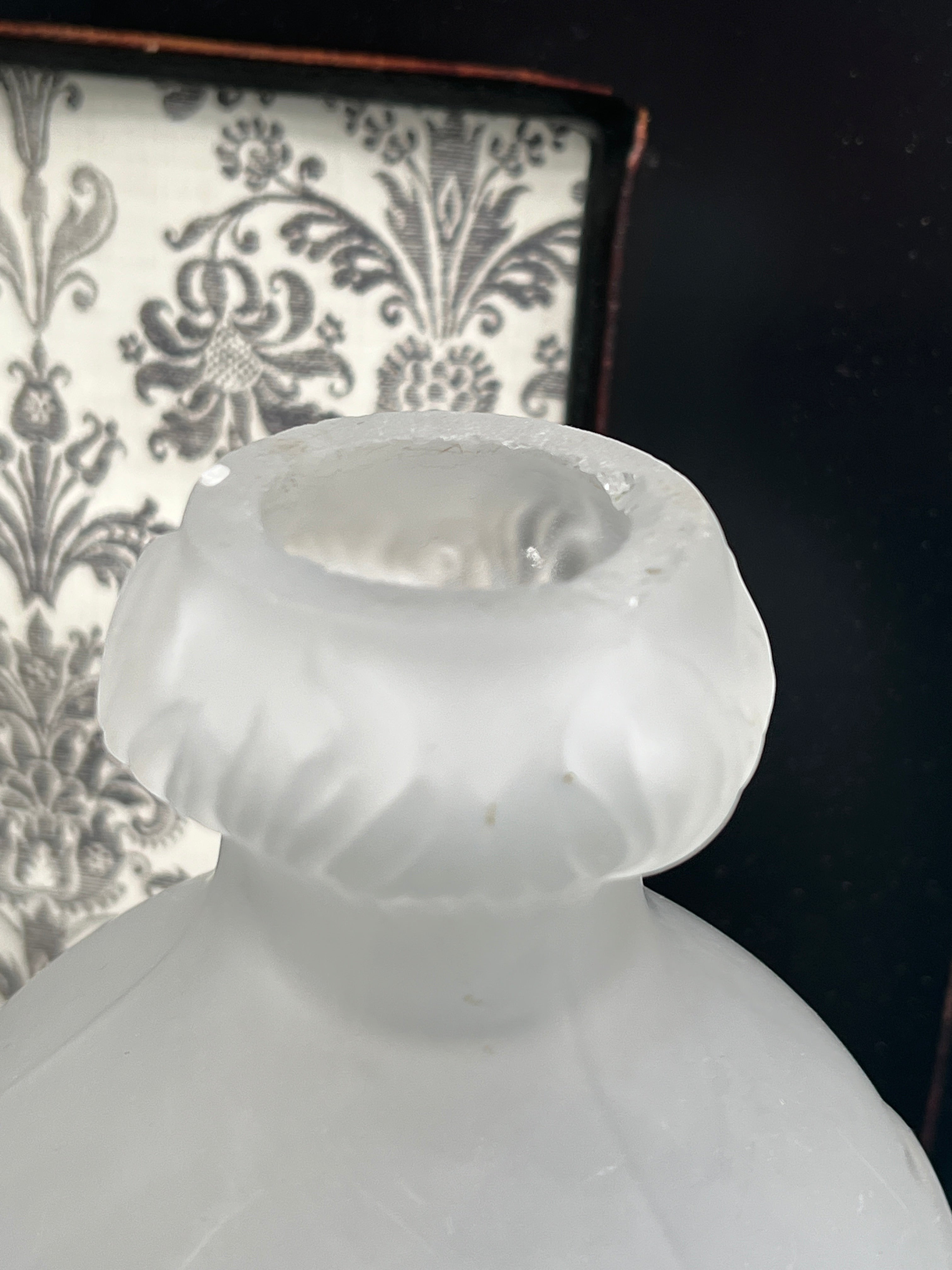 Patina & Prose antique French camphor glass vase with relief floral pattern and frosted finish.
