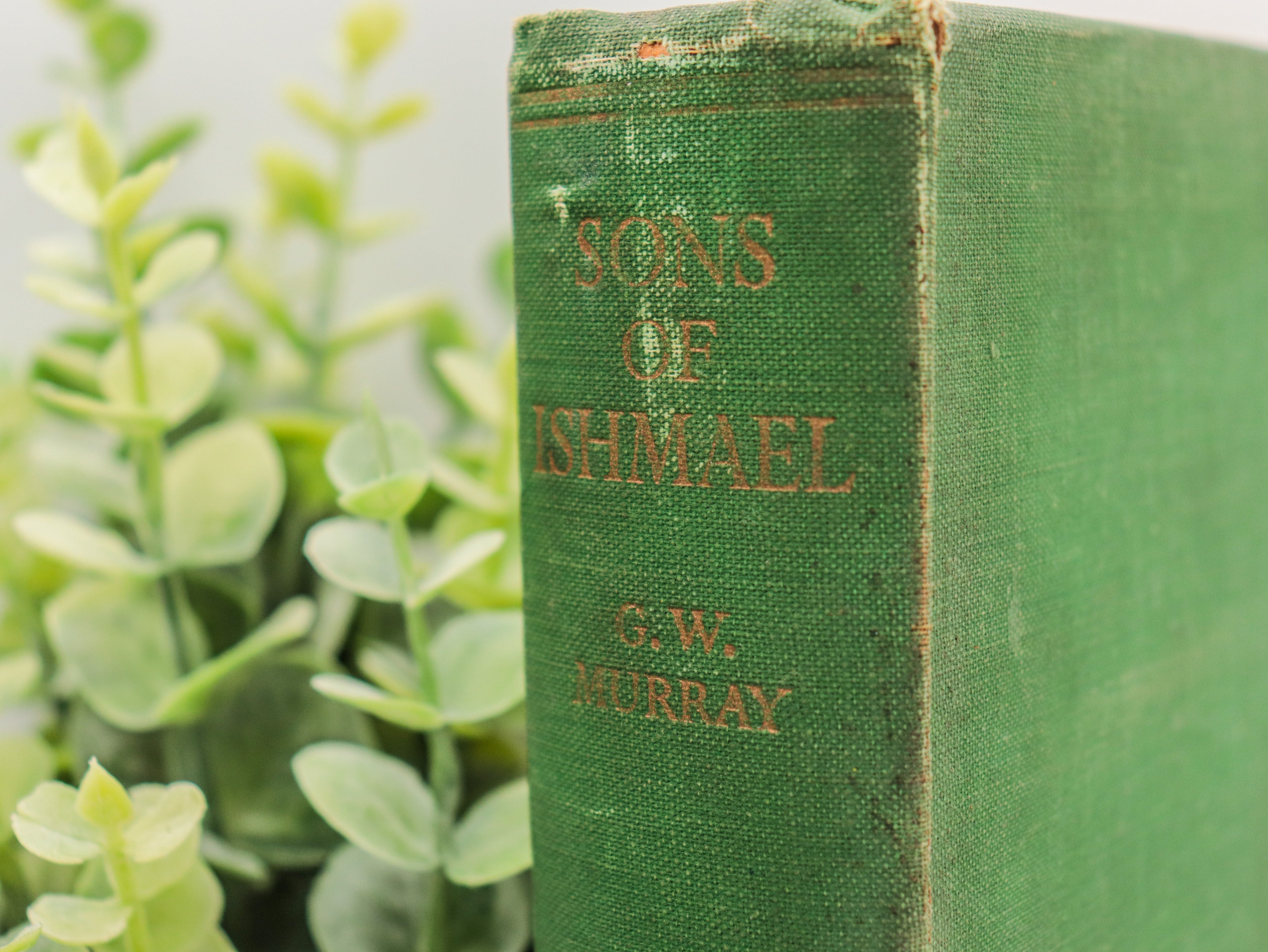 Sons of Ishmael, A Study of the Egyptian Bedouin, G.W. Murray, 1935