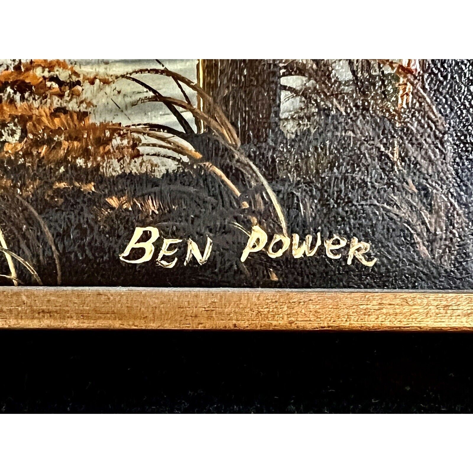 Ben Powers signature on a dark textured canvas with plant detail and a wooden frame.