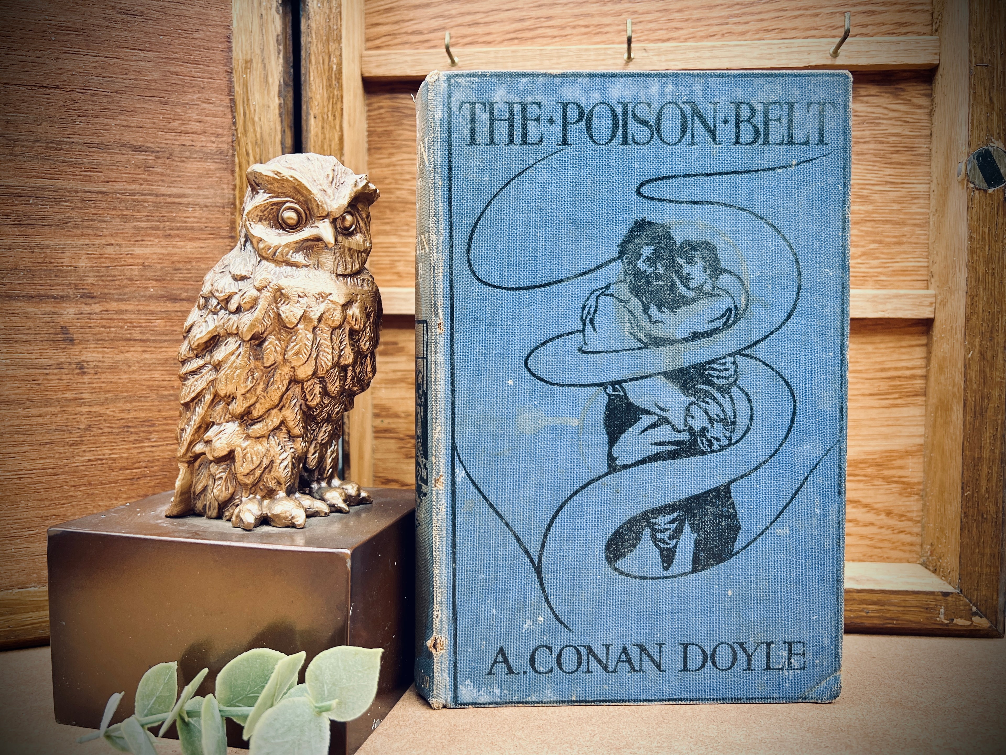 The Poison Belt (Doyle, 1913, Hodder and Stoughton) Hardback w/o Dustcover