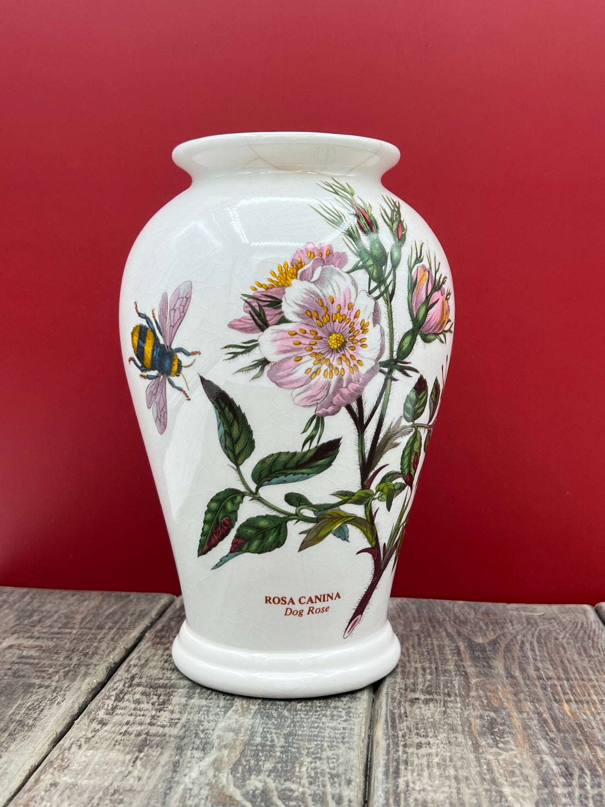 Vintage Botanic Garden Rosa Canina - Dog Rose 6 1/2" Vase
