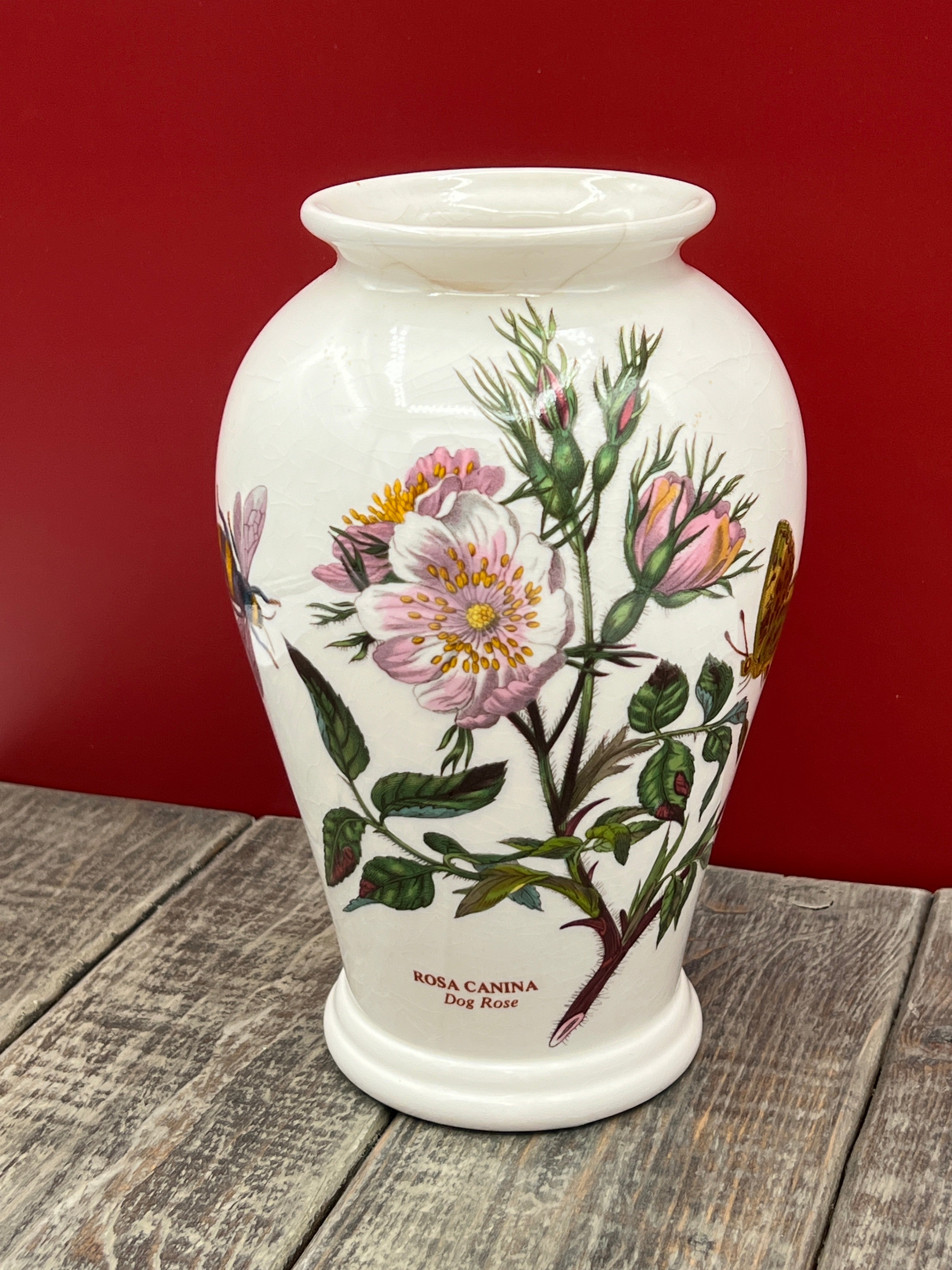 Vintage Botanic Garden Rosa Canina - Dog Rose 6 1/2" Vase