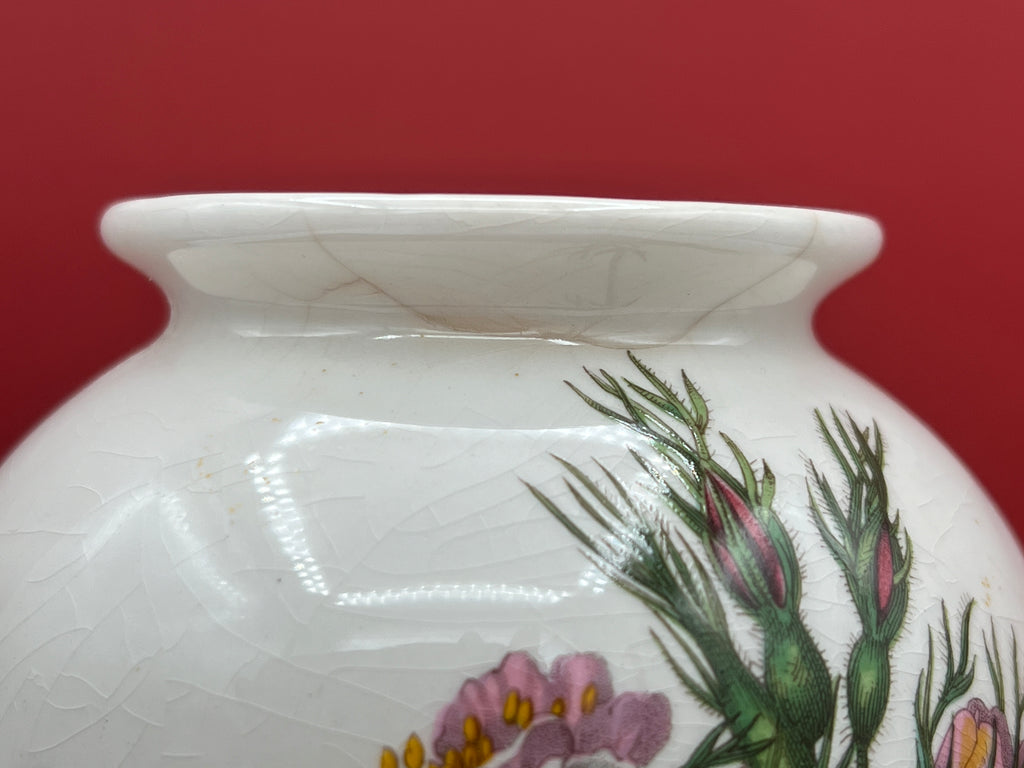 Vintage Botanic Garden Rosa Canina - Dog Rose 6 1/2" Vase