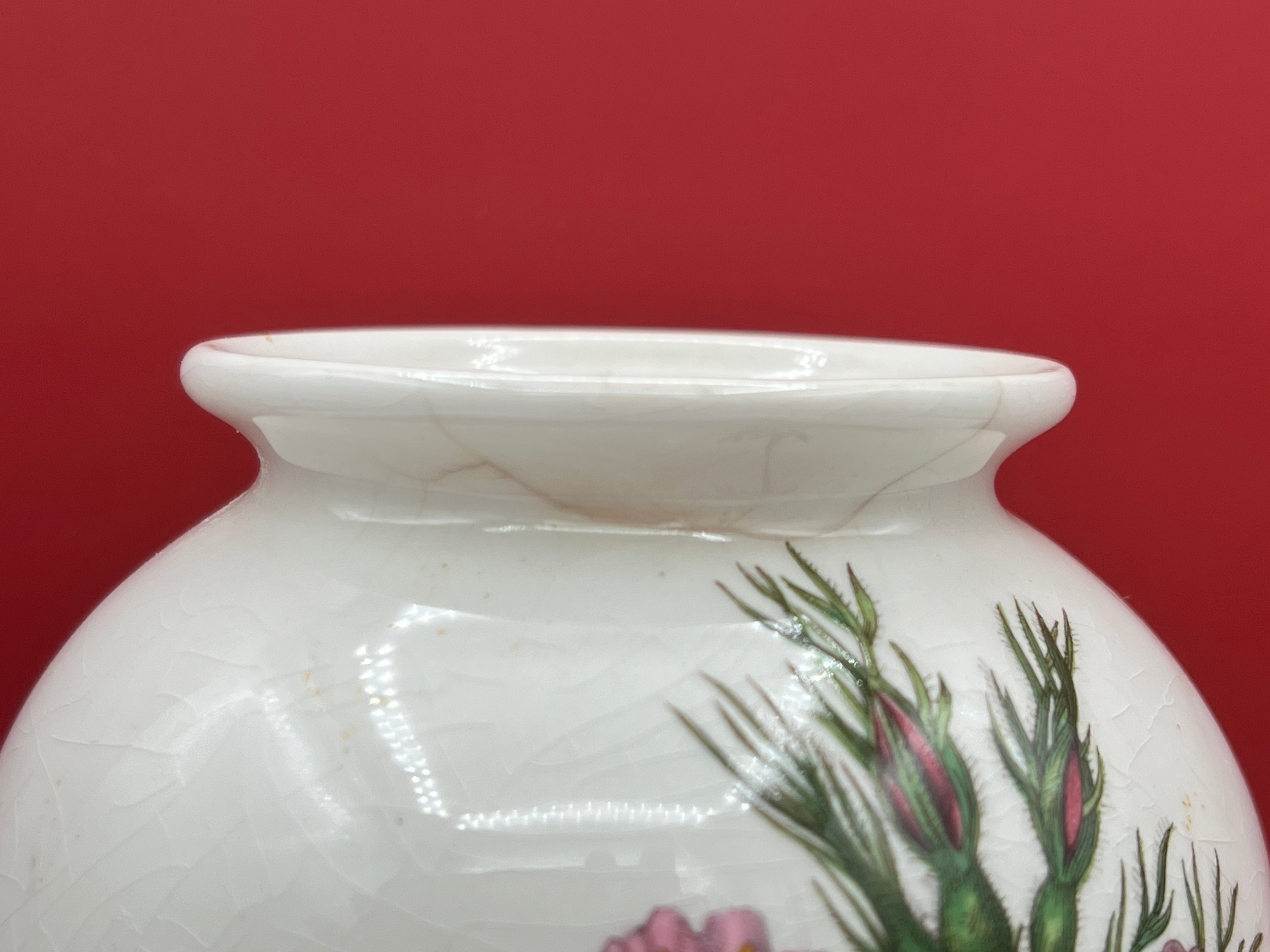 Vintage Botanic Garden Rosa Canina - Dog Rose 6 1/2" Vase