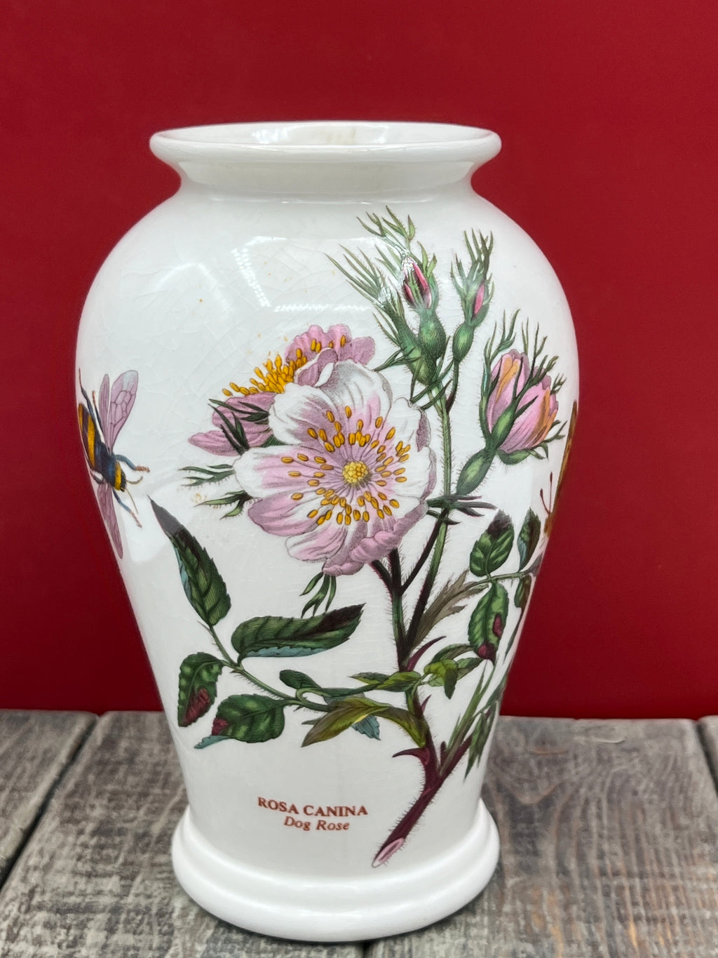 Vintage Botanic Garden Rosa Canina - Dog Rose 6 1/2" Vase