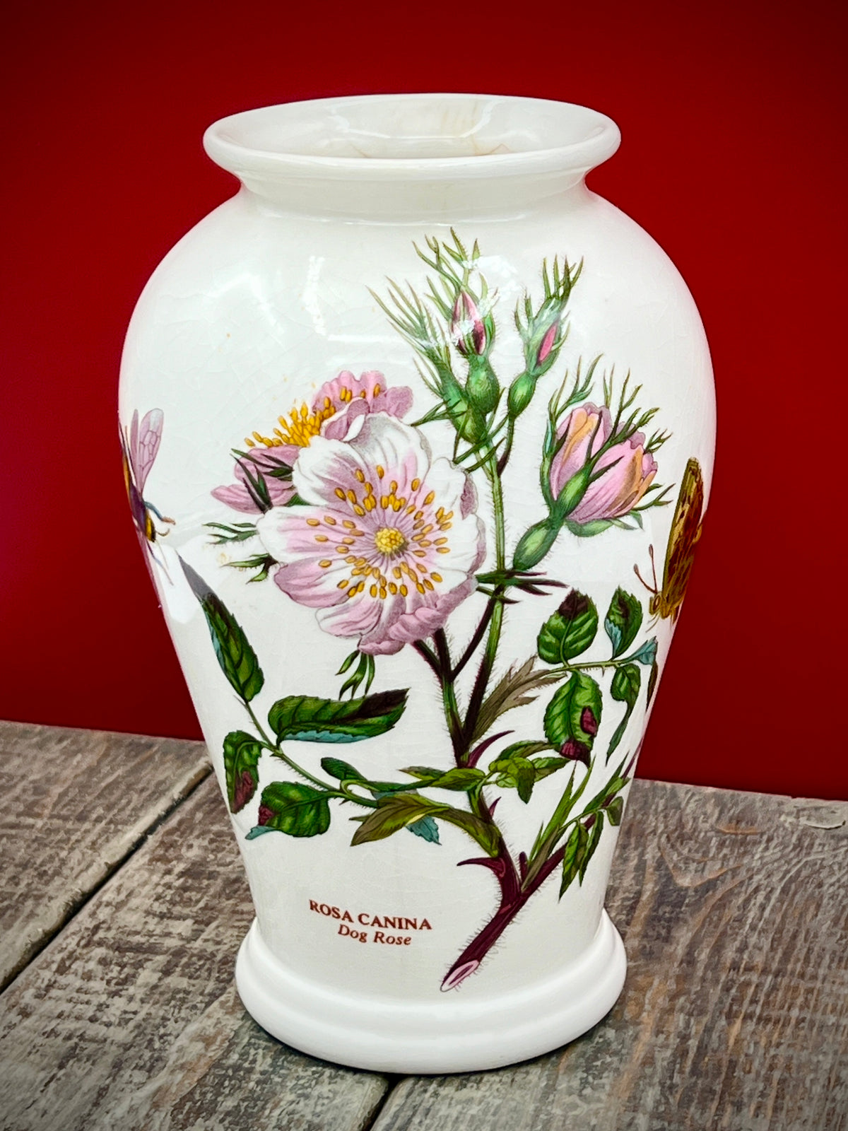 Vintage Botanic Garden Rosa Canina - Dog Rose 6 1/2" Vase
