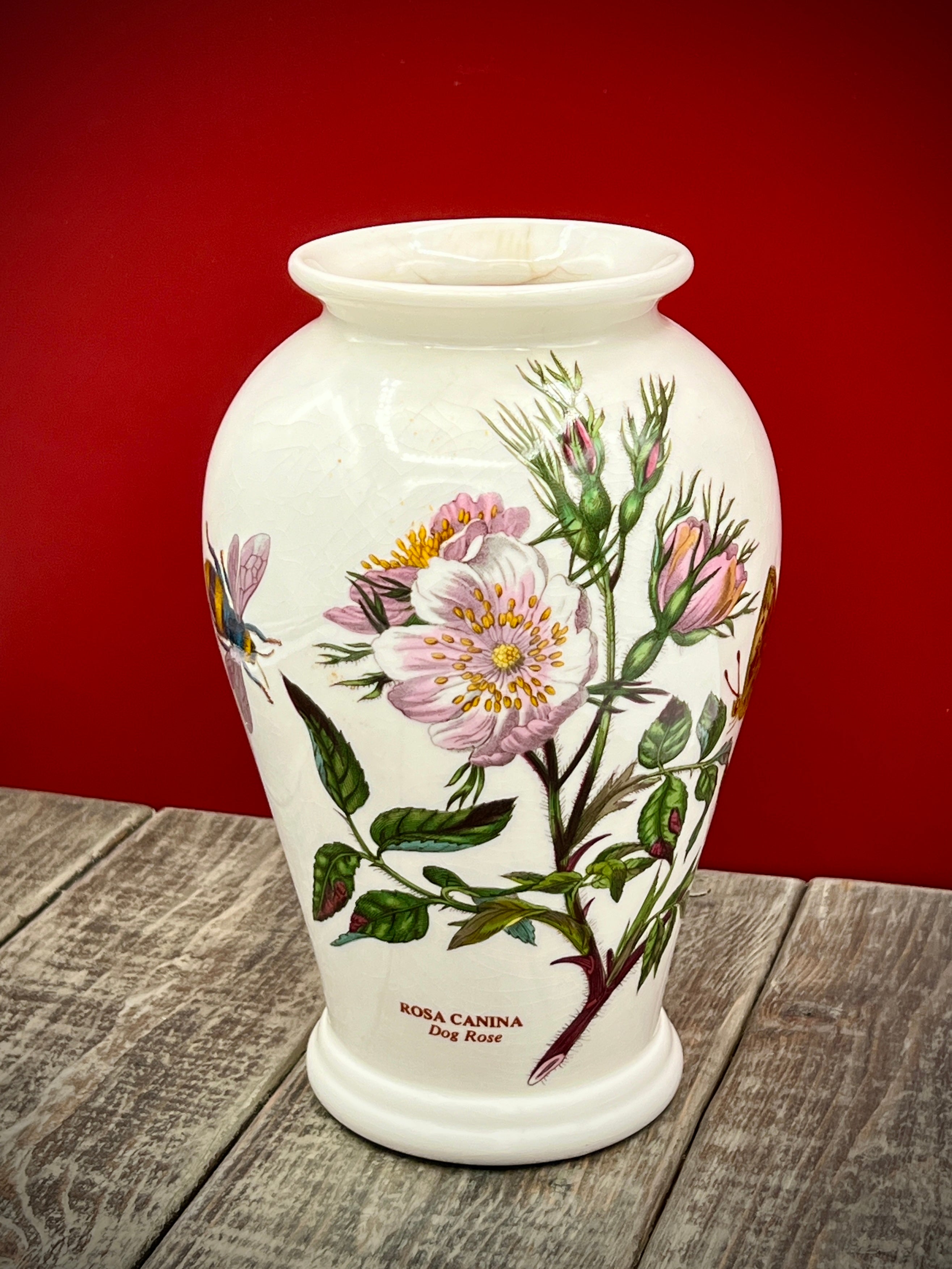 Vintage Botanic Garden Rosa Canina - Dog Rose 6 1/2" Vase