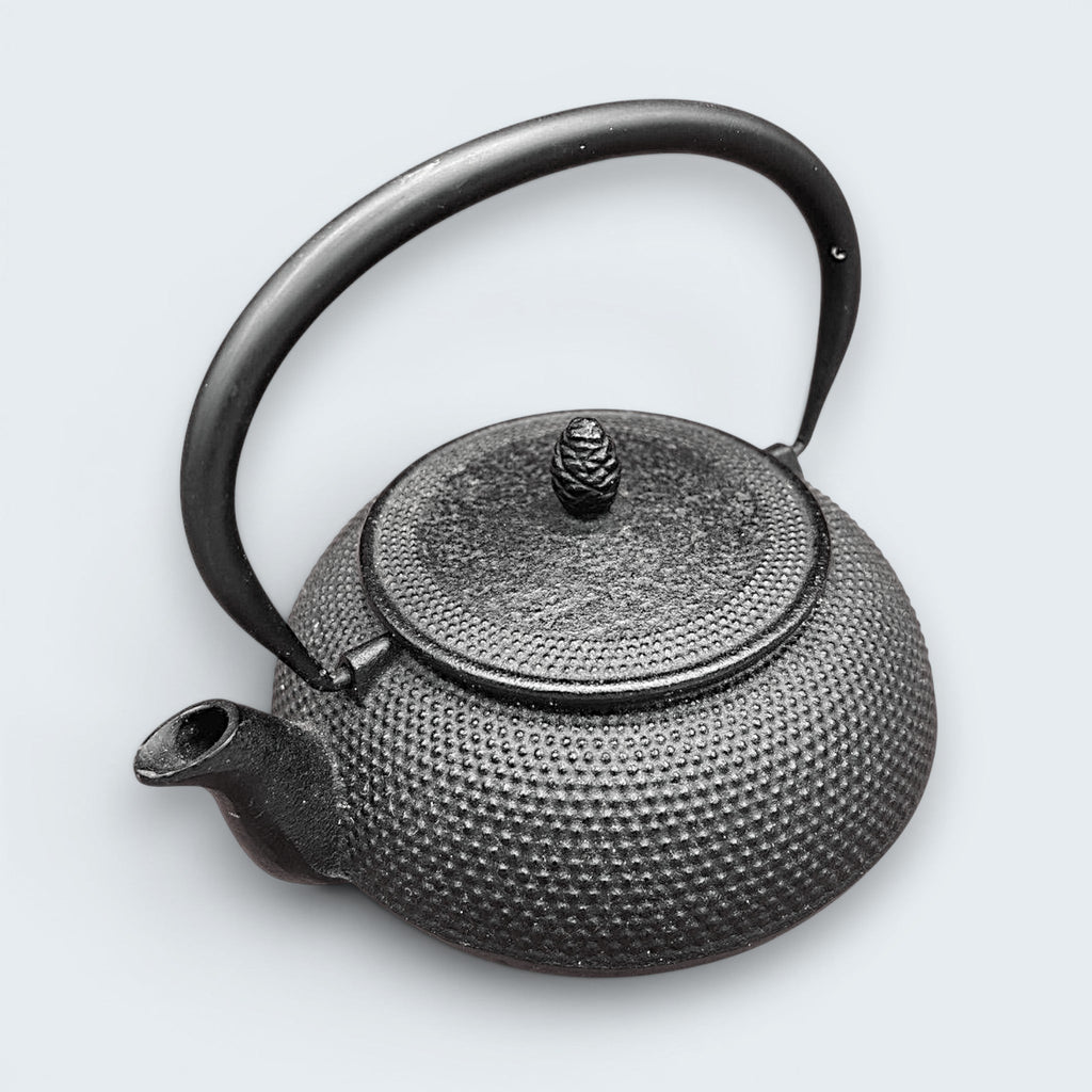 A black cast iron tetsubin teapot featuring a classic hobnail textured surface, open top showing a stainless steel mesh infuser basket, and two pivoting black metal handle hinges on the sides. - Photo 1