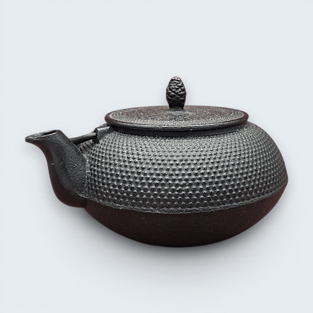 A black cast iron tetsubin teapot featuring a classic hobnail textured surface, open top showing a stainless steel mesh infuser basket, and two pivoting black metal handle hinges on the sides. - Photo 4