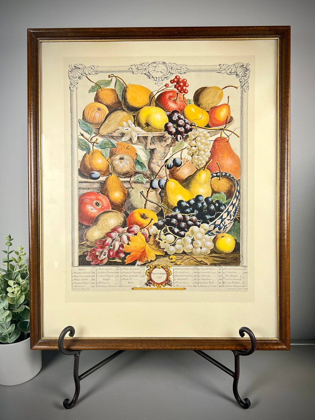 Vintage "November" Lithograph of 1700s Robert Furber "12 Months of Fruits"